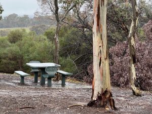 Sit amongst the trees at a Hume Highway Road Trip Stop.