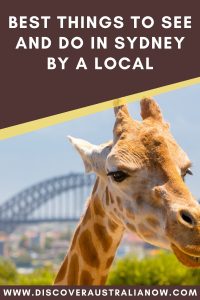 Visiting Taronga Zoo is one of the best things to see and do in Sydney suggested by a local.