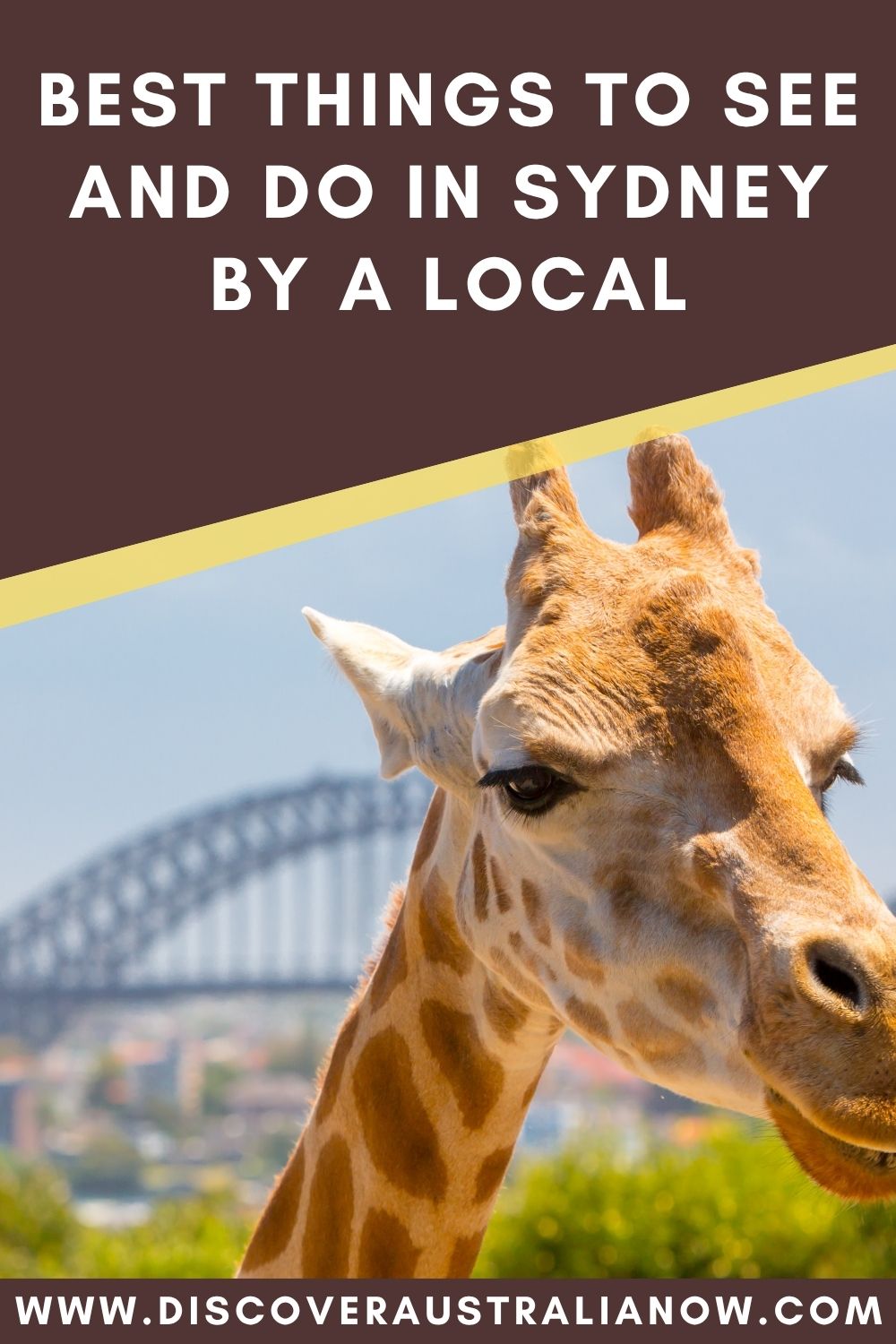 Visiting Taronga Zoo is one of the best things to see and do in Sydney suggested by a local.
