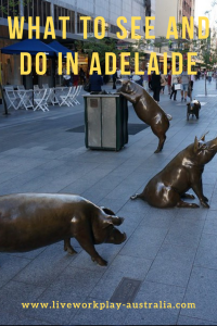 Pig Statues In Rundle Mall Adelaide