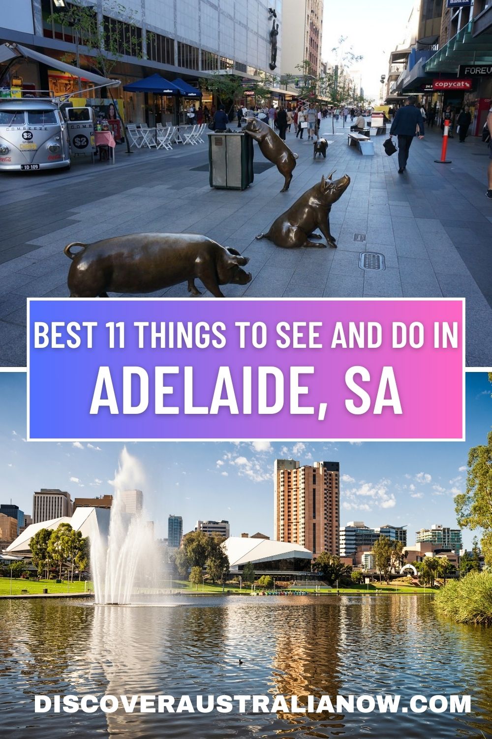 Pig statues in Rundel Mall and Adelaide Oval are 2 of the best things to see and do in Adelaide.