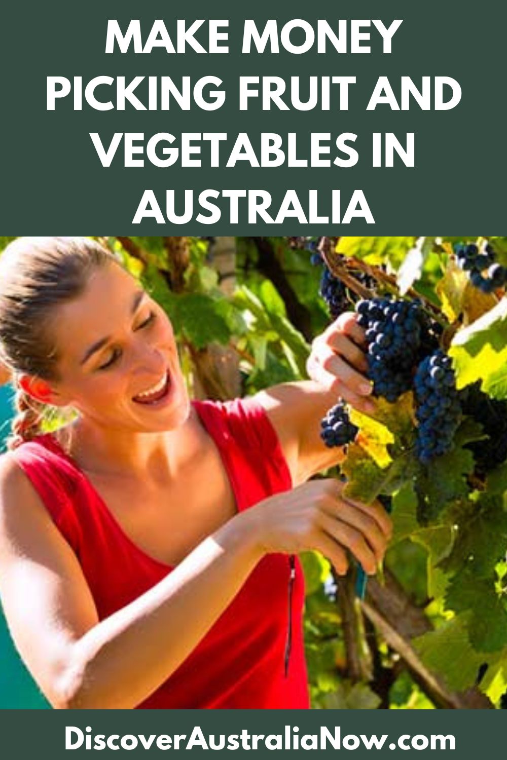 female picking fruit and vegetables in Australia to make money to fund Australian travel.