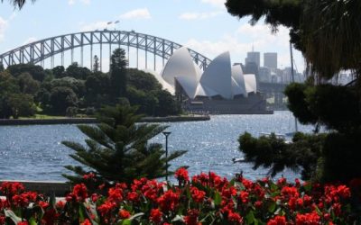 7 Days in Sydney Itinerary for Your First Visit