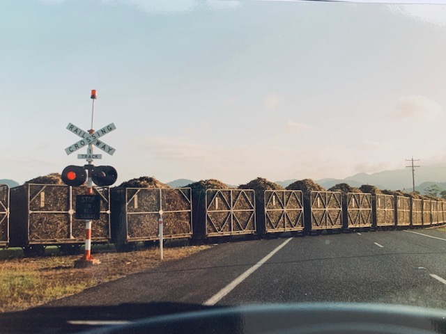 Sugarcane Train Bundaberg