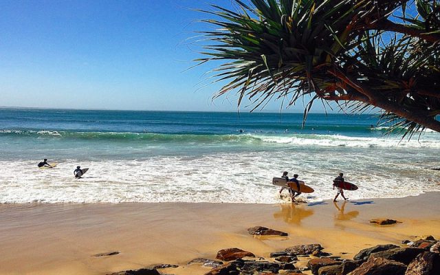 Noosa National Park Is Behind The Beautiful Noosa Beach On The Sunshine Coast In Queensland. Go For A Walk And Don't Forget Your Swimmers For A Dip In The Ocean When You Are Done Hiking.