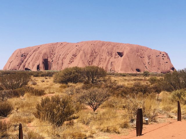 Ayers Rock Or Uluru Has Many Colours Depending On The Light. Today Looking Orangy Brown With A Blue Sky And Scrub Surrounding Its Base.
