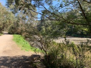 Path along Yarra River Warrandyte