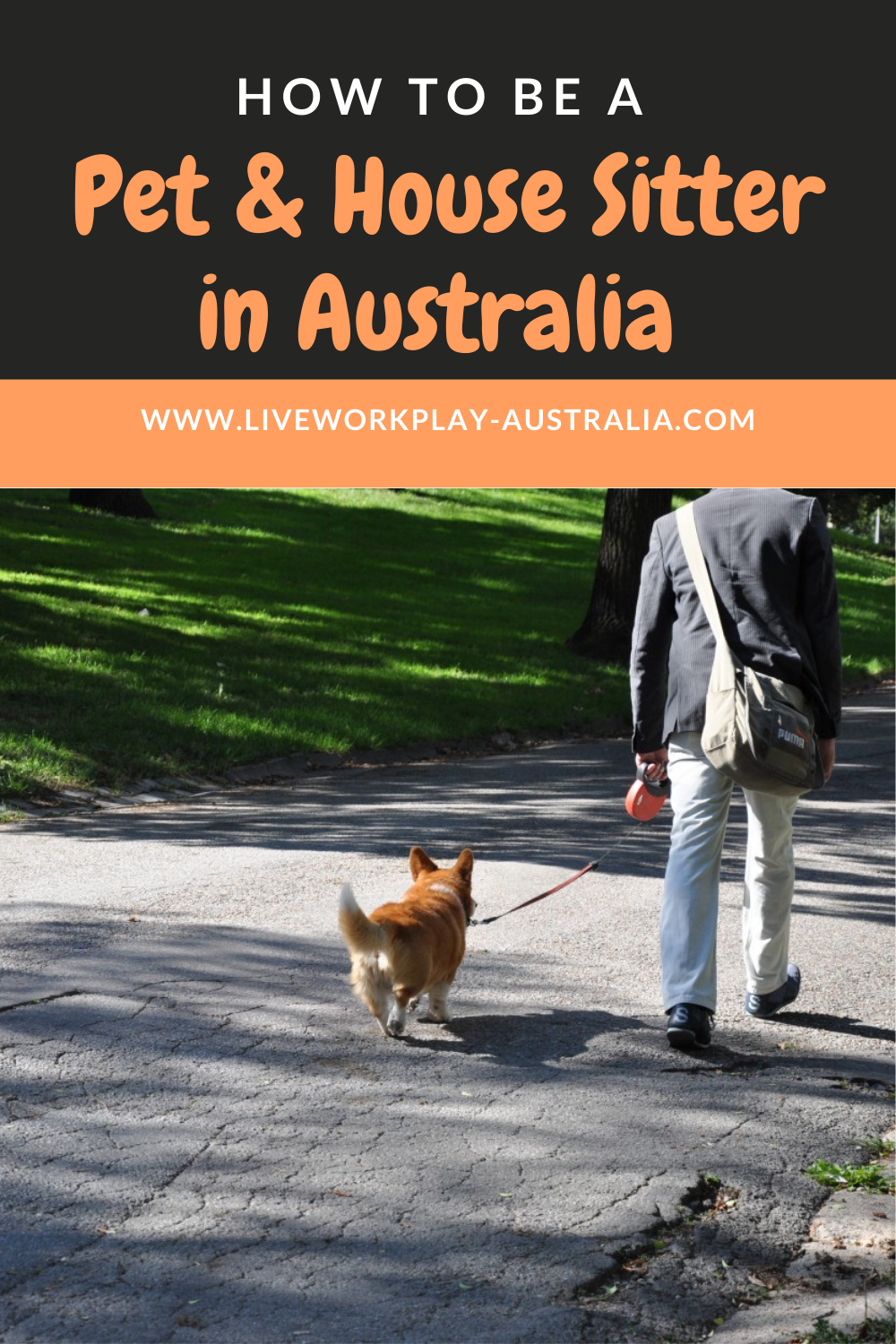 Walking A Dog When You House And Pet Sit In Australia
