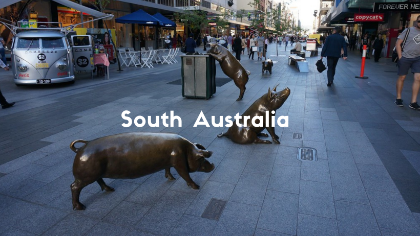 Three Bronze Pigs In Rundle Mall, Adelaide. One Looking In A Bin. One Sitting and One Standing.