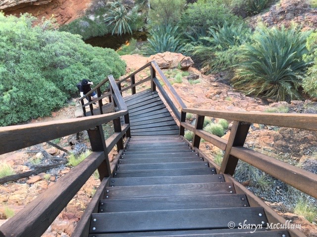 Lots Of Stairs To Ascend Kings Canyon Rim Into The Garden Of Eden.