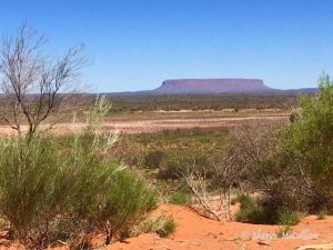Mount Connor In Central Australia Is Often Mistaken For Uluru. It Is Different Because It Has A Flat Top.