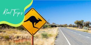 Yellow and Black kangaroo sign on side of Australian Road.
