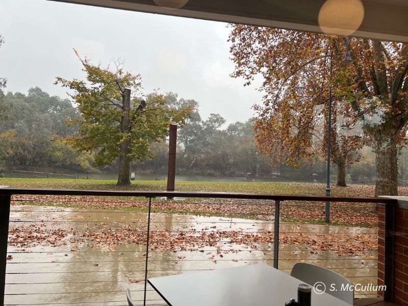 AlburyRiverDeckMurrayC River Deck Cafe in Albury overlooks the Murray River. Looks good on a cold wet winter day with leaves falling.