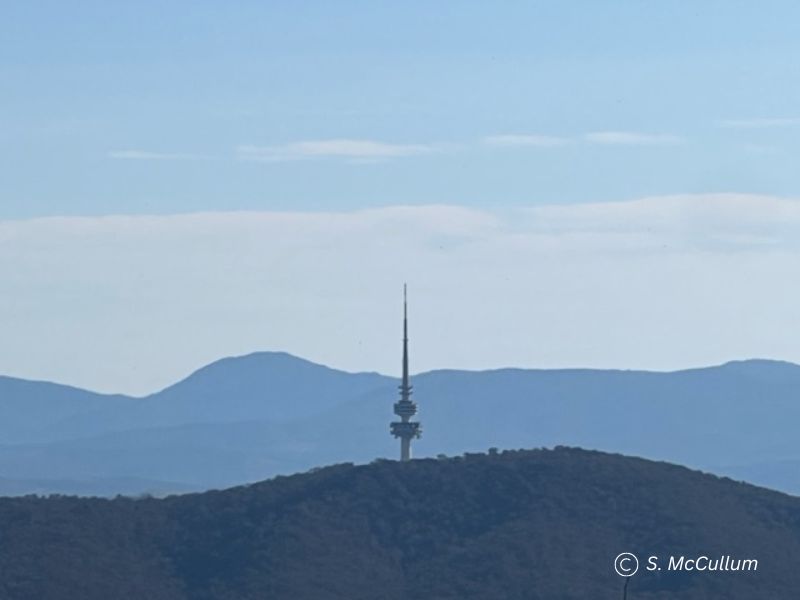 When you see the Black Mountain Telstra Tower in the distance while driving the Federal Highway road trip, you know Canberra is not far.