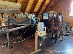 Old Milk Container with Horse and Carriage in the Bega Cheese Factory.