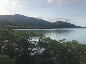 Cape Tribulation. Where the ocean meets the rainforest.