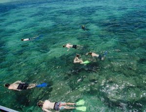 people snorkelling on the Great Barrier Reef at Green Island.