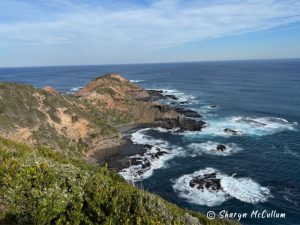 Rocky Bushrangers Bay on the Mornington Peninsula.