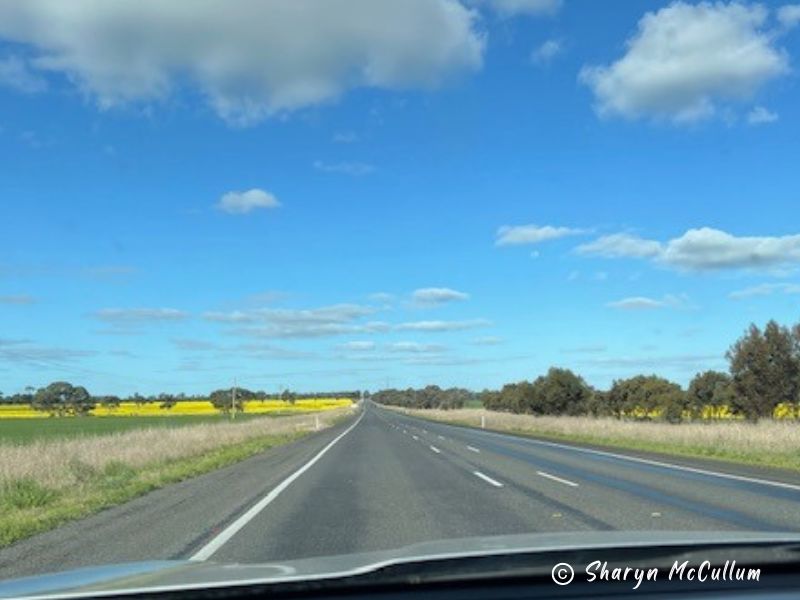 Road of Adelaide to Melbourne - very flat and rather boring.