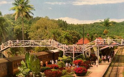 Kuranda Scenic Railway Train named among the World’s Best