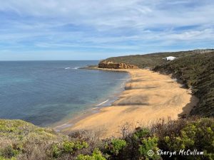 blue ocean lapping golden sand at Bells Beach.