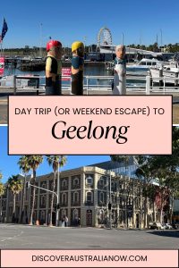 Geelong PIN - Geelong waterfront and Geelong National Wool Museum.