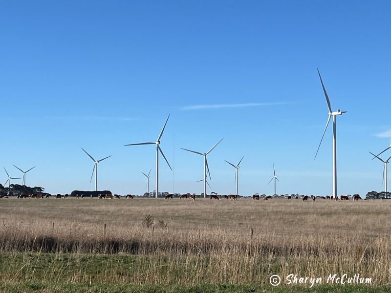 GrampiansWindFarmsC Wind farms on the road between Warrnambool and The Grampians.