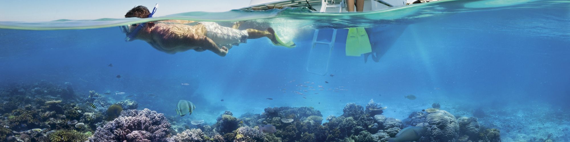 Person snorkelling in Ocean at Great Barrier Reef, QLD.