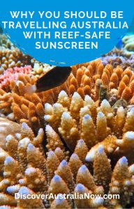 colourful coral reef untouched by because of reef-safe sunscreen.