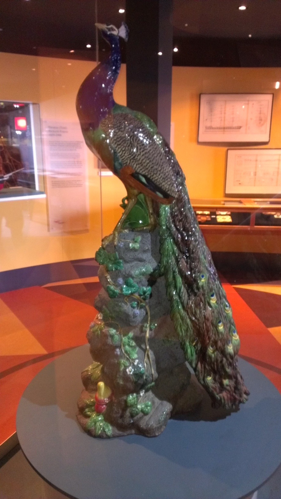 WarrnamboolPeacock Peacock off Loch Ard shipwreck in Flagstaff Maritime Museum, Warrnambool.