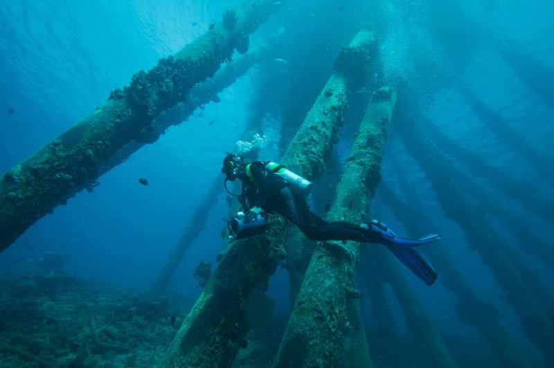 A diver exploring underwater structures surrounded by vibrant marine life scuba diver exploring underwater structures with marine life