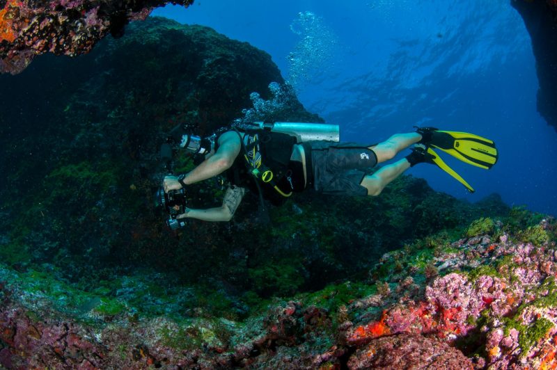A diver taking photos underwater while exploring vibrant coral reefs,. diving taking underwater photos of coral reefs