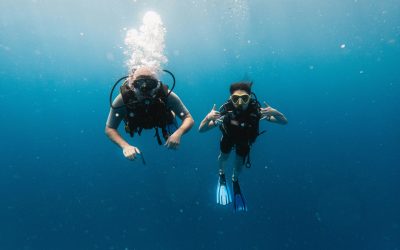 Best Diving Spots in Australia: The Ultimate Guide for Ocean Lovers