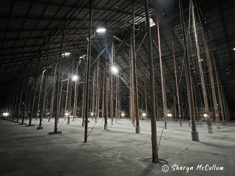 inside Murtoa Stick Shed looking at all the sticks.