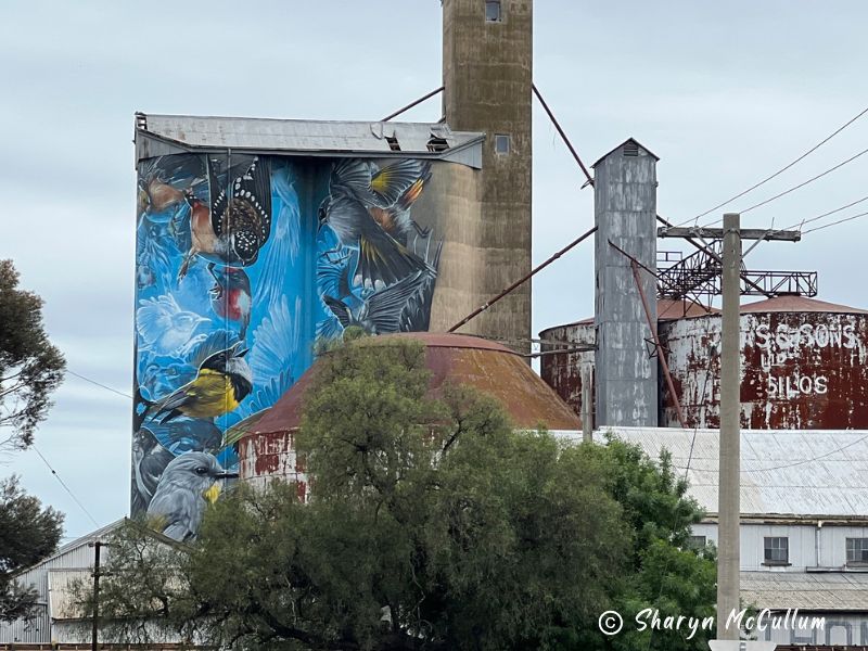 Murtoa Silo Art. Pretty blue birds on Murtoa grain silo.