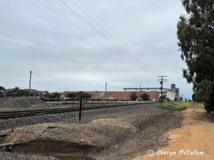 Red roof of Murtoa Stick Shed appearing in the distance