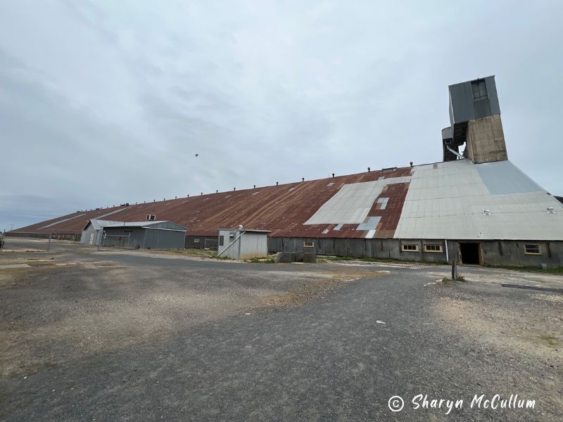 Murtoa Stick Shed Outside outside up close