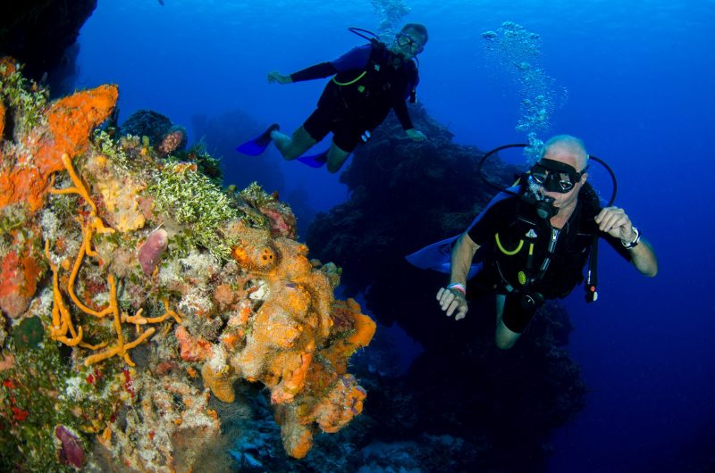 Two scuba divers swimming near colourful coral, check out the colours of the coral on the Great Barrier Reef