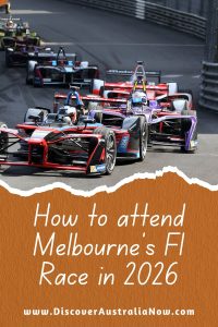 f1 cars racing pin.