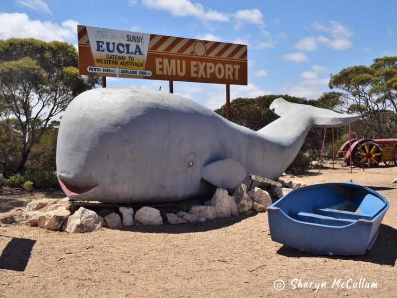 Big Whale at Eucla.