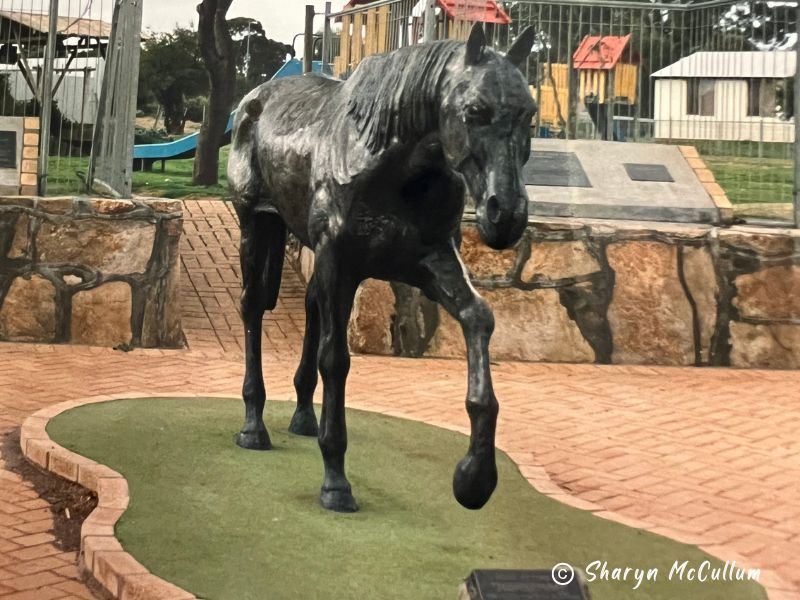 Norseman horse in Norseman.