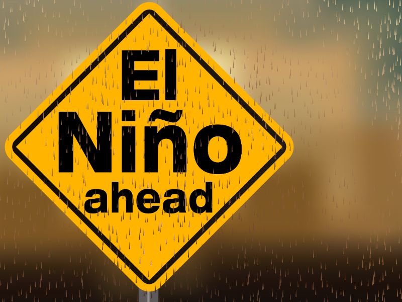 ElNinoAheadSign Gold and black El Nino sign with words El Nino ahead.