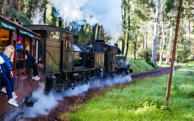 Puffing Billy Running Festival – Can You Beat the Train?