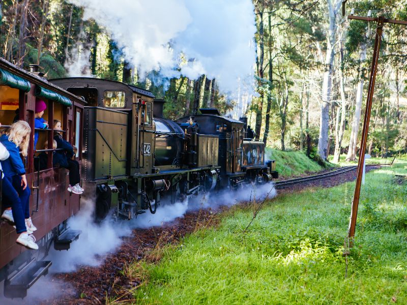 Puffing Billy train travelling through the Dandenongs.