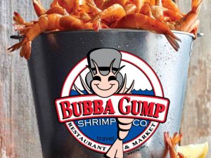 Bubba Gump Shrimp Bucket with lots of shrimp