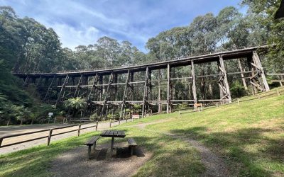 A Visit to Noojee and the Famous Noojee Trestle Bridge