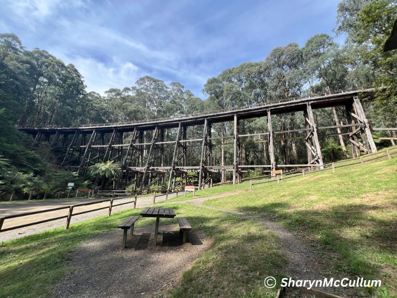 A Visit to Noojee and the Famous Noojee Trestle Bridge