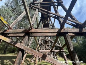 Noojee Trestle Bridge from underneath