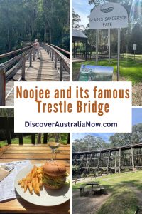 Noojee Pin with Noojee Trestle Bridge, Noojee Pub Food