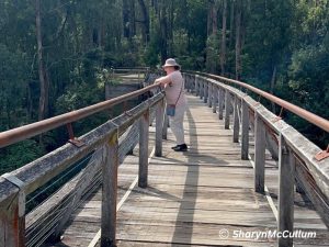 Sharyn walking across top of Noojee Trestle Bridge